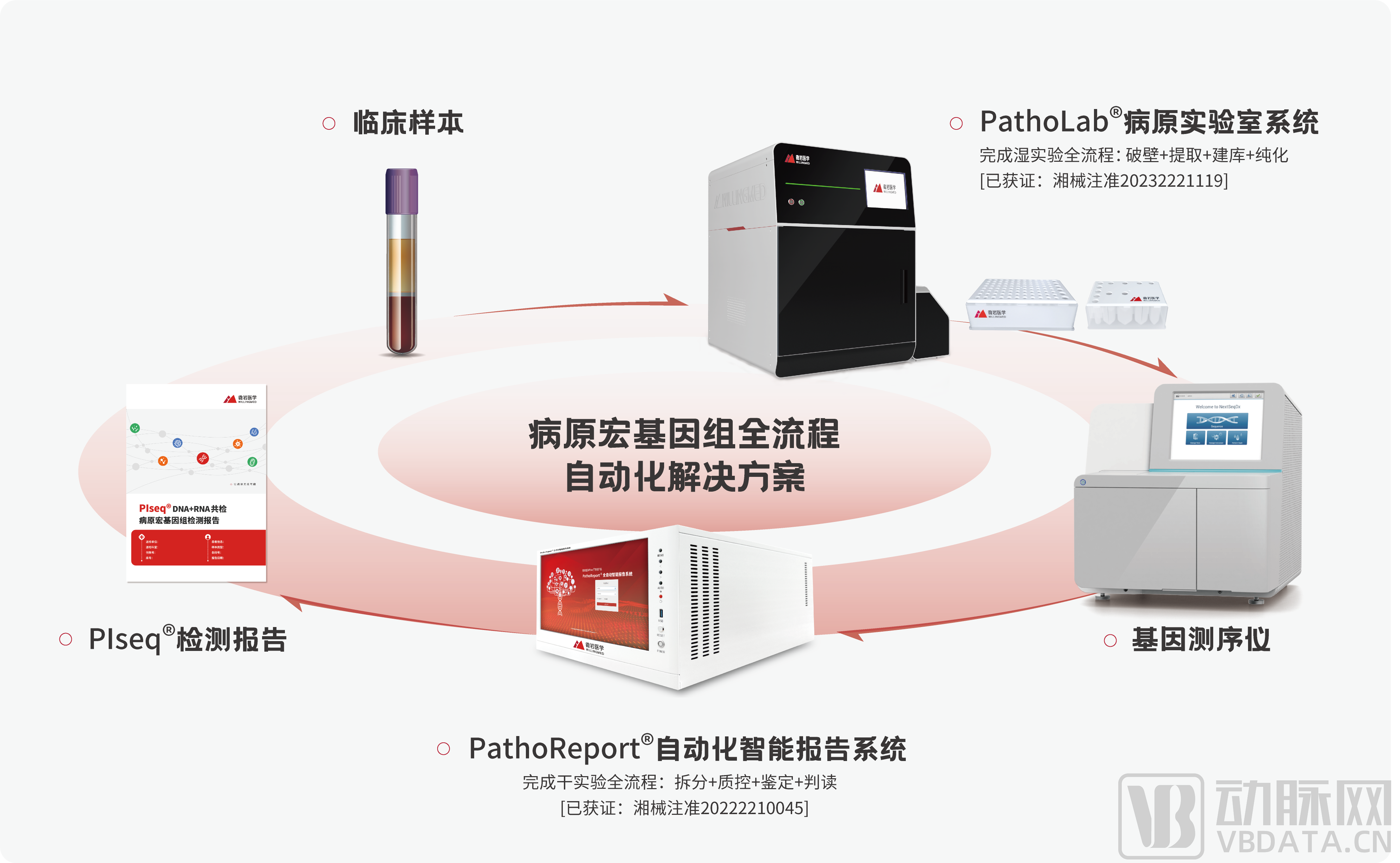 微岩医学全自动解决方案图片.png