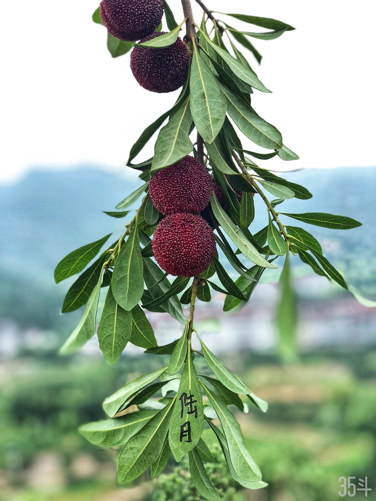 微信图片_20190717164348.jpg
