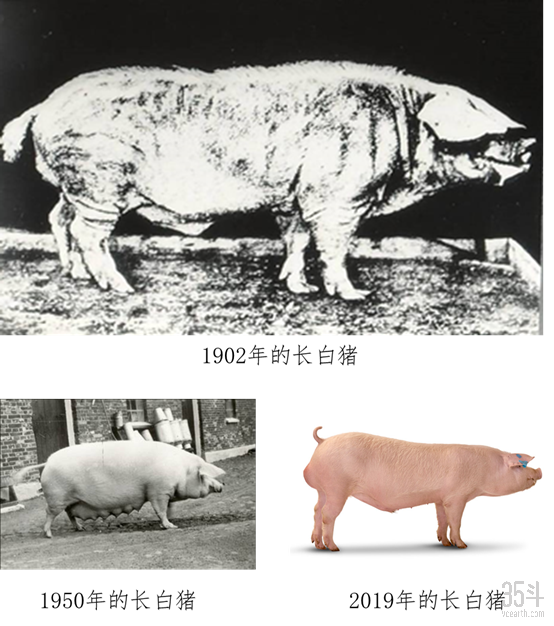 微信图片_20210305100615.png