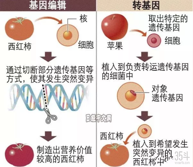 微信图片_20210127111458.png