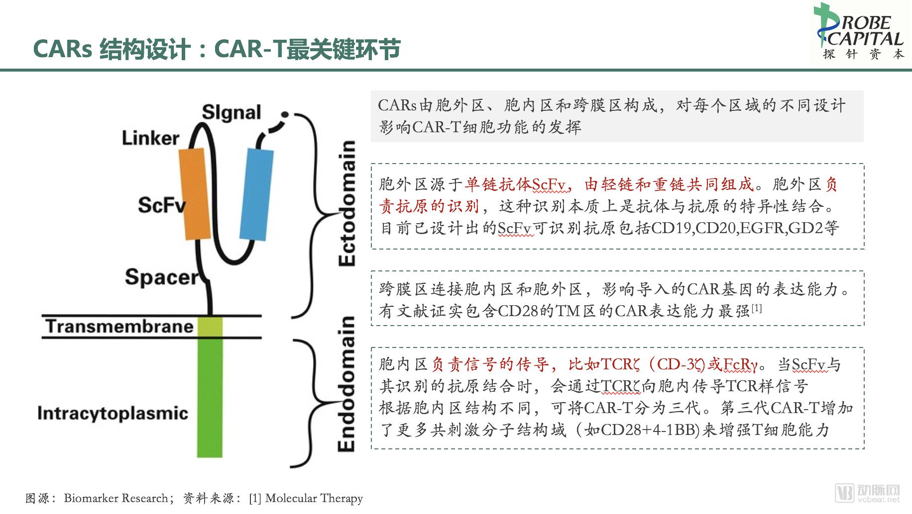 CAR细胞结构.png
