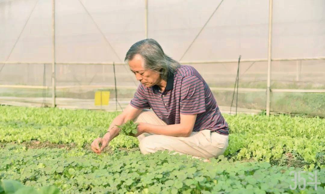 创始人张总在菜地.jpg