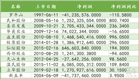 猪19.jpg