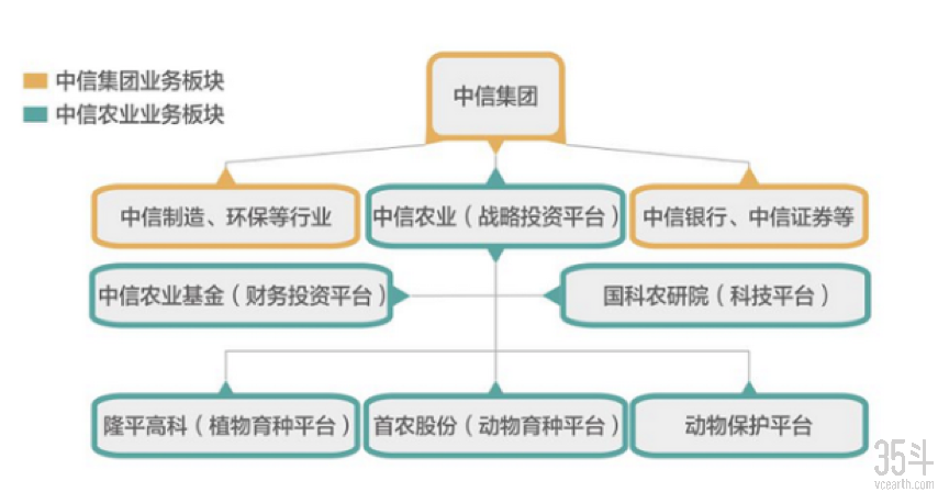 中信集团业务板块.png