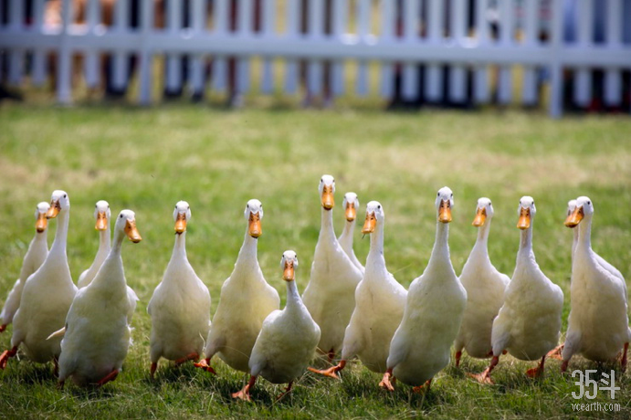 屏幕快照 2020-03-19 下午4.39.33.png