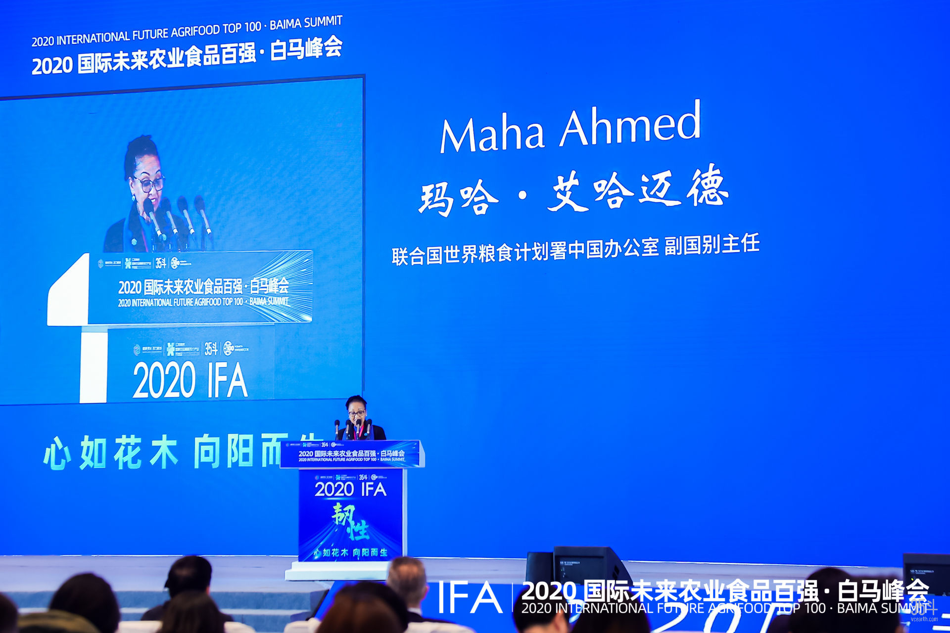 玛哈.jpg