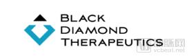 Black Diamond Therapeutics.png