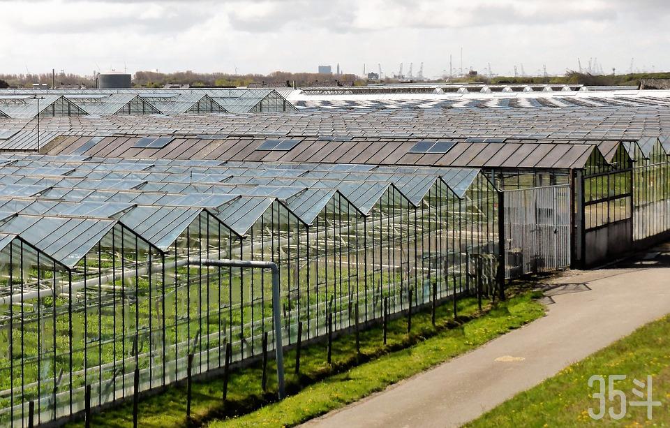 horticulture-2779709_960_720.jpg