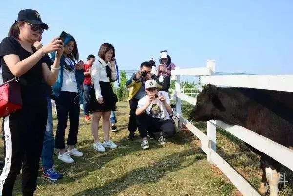 微信图片_20190809160055.jpg