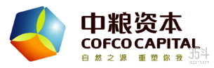 中粮资本.png