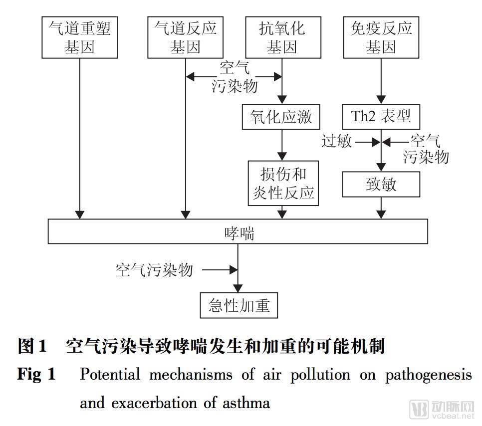 2空气污染导致加重的可能性.png