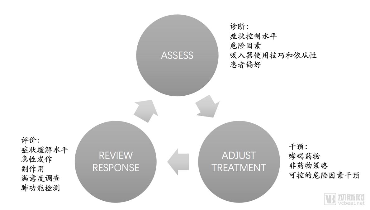 9对症治疗的哮喘管理循环.png
