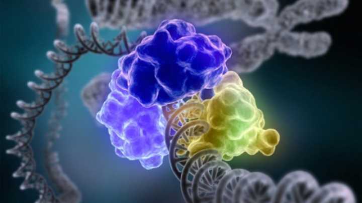 default-1464368399-2876-chemistry-nobel-dna-research-lays-foundation-for-new-ways-to-fight-cancer.jpg