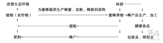 养蜂2.jpg