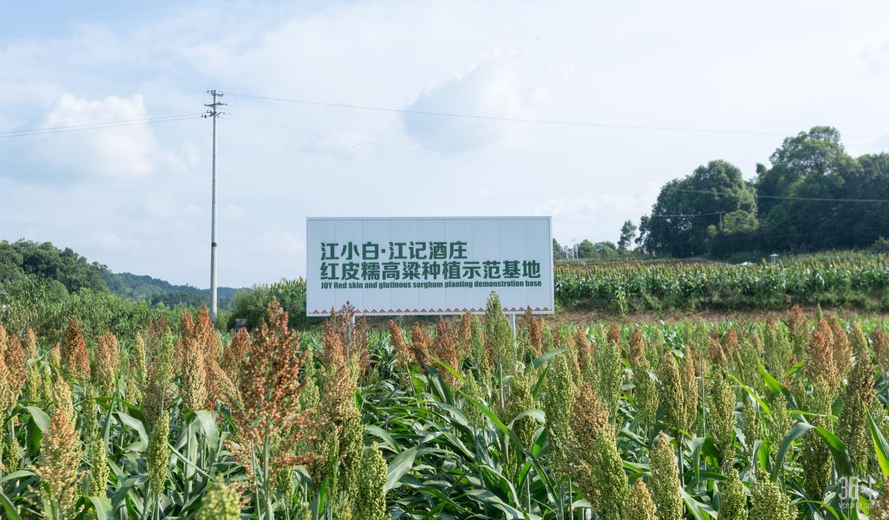 微信图片_20190806203444.jpg