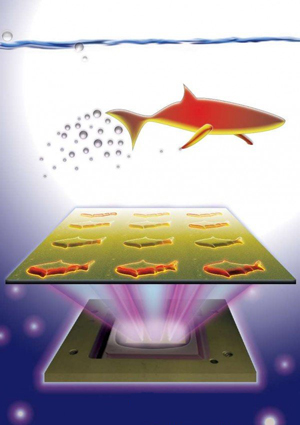 3D打印微型机器鱼鱼可用于解毒和医疗领域