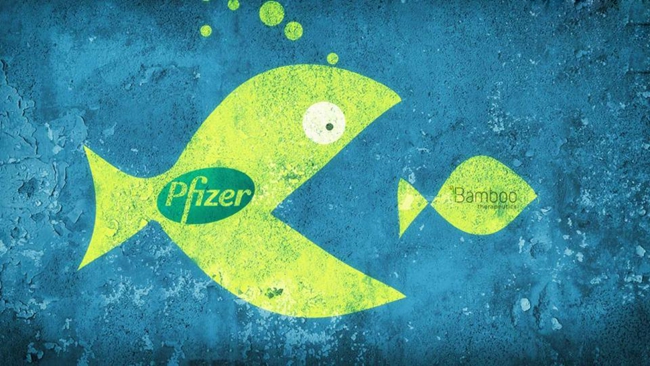 960-pfizer-pfe-stock-climbs-bamboo-therapeutics-acquisition-deal.jpg