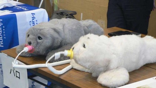日本开发出萌萌哒的海豹型机器人PARO用于治疗痴呆症患者