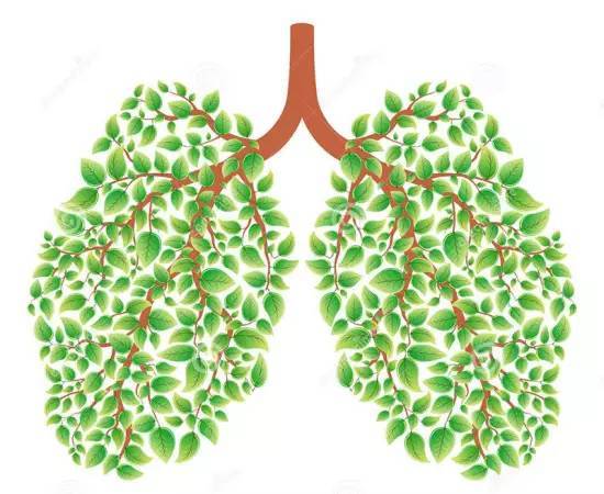 “全国基层肺癌诊疗能力提升项目”(爱肺计划) 2017年项目启动会在沪召开