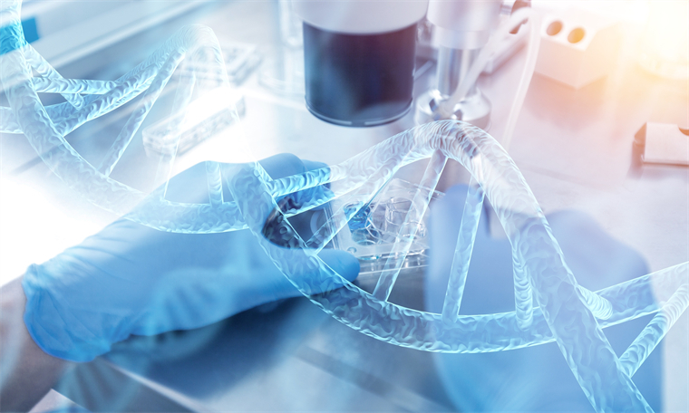【首发】珠海贝斯昂科获近亿元天使轮融资，聚焦新型基因编辑NK细胞治疗产品及基因治疗产品 